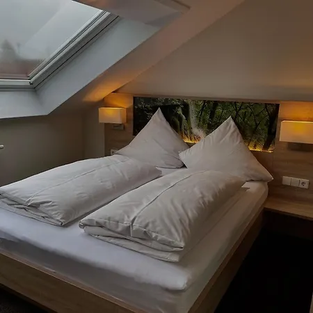 Hotel Lamm 3*